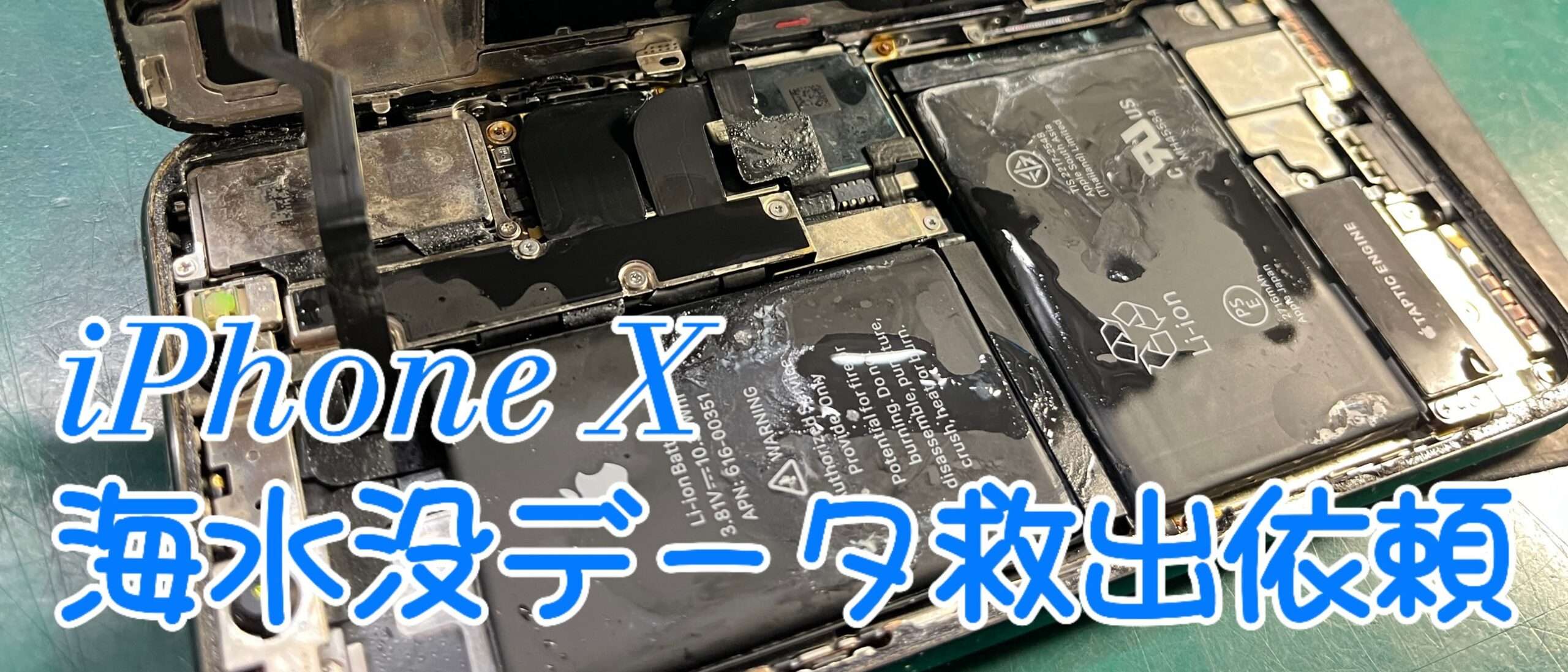 海に落としたiPhone Xの内部画像